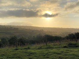 Morning view from the pod