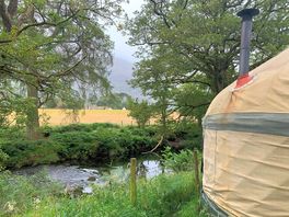 In a quiet corner of the campsite