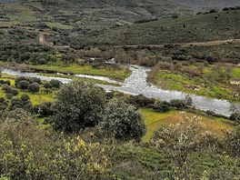 Ruta