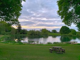 Lake view from the field