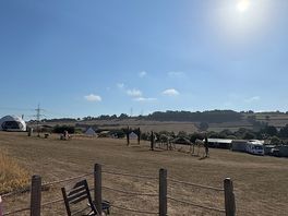Sunny day