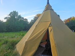 Wild tipi
