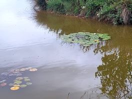 Fishing lake