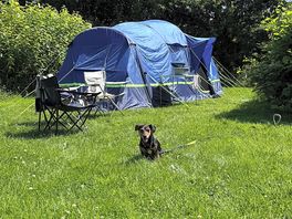 Tent pitch