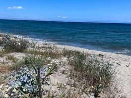Beach next to camping europa beach