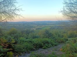 Views