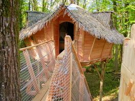 Écureuils treehouse