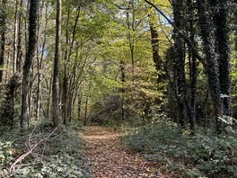 Lovely walks