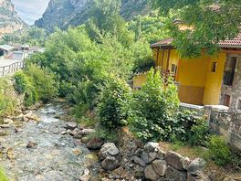Stream running through