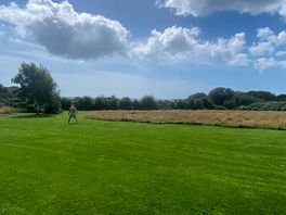 View from the plot.