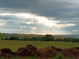 View from the local pathway