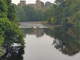 Lovely woodland walk in barnard castle