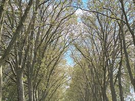 Walk into town