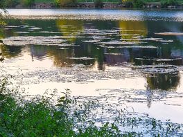 Bord de dordogne au camping