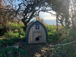 Hedgehog house