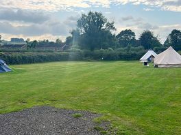 Grass field