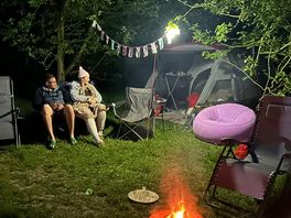 Orchard evening
