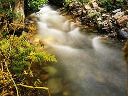 Stream by the campsite