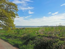 Early morning walk down to the estuary