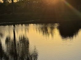 Pond sunset