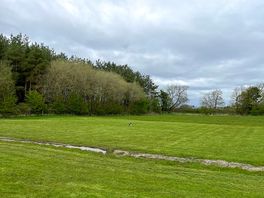 Grassy pitches