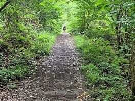 Walk to arnside