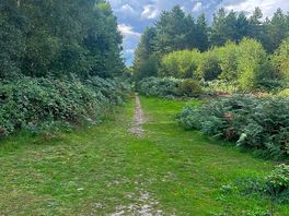 Walks