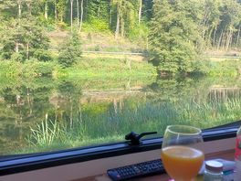 View from van
