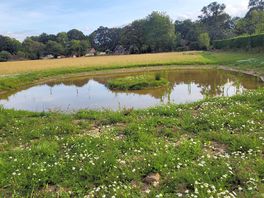 Took mostly videos so only a photo of pond on the way to the pub