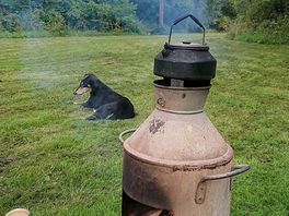 Pooch approved.