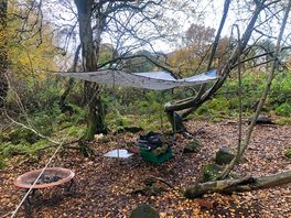 Canopy
