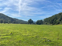 View from our camper