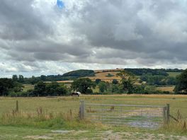 View from our pitch