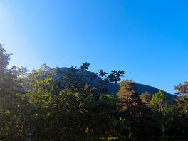 The views