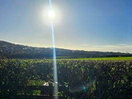 The countryside at bolton le sands