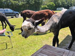 Locals are really friendly 😊