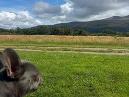 Views with my dog
