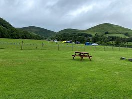 Large grass area with picnic benches near sheep field.