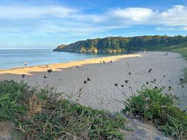 Barafundle bay.