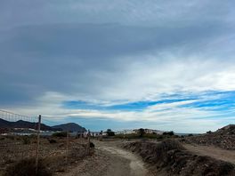 Walking path to the beach