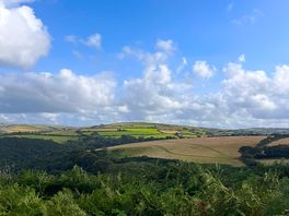 Fab views