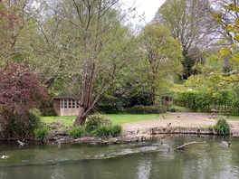 Lake on the walk