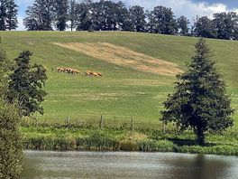 Lac pour se baigner, plage surveillée et marche autour du lac