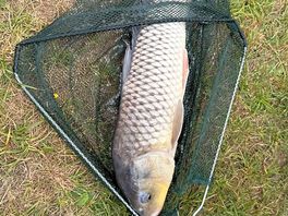My sons catch - one happy boy!