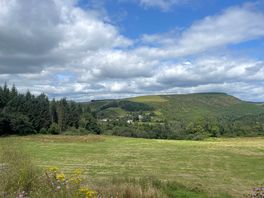 View from cafe