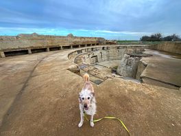 The ww2 gun site