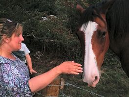 We all loved seeing the horses over the fence