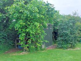 Kitchen area, food & info shed, toilets and shower