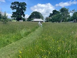 Beautiful pathway through the field