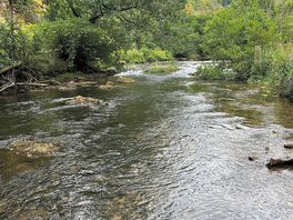 Stepping stones